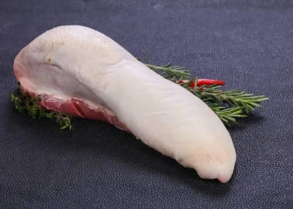 Língua bovina